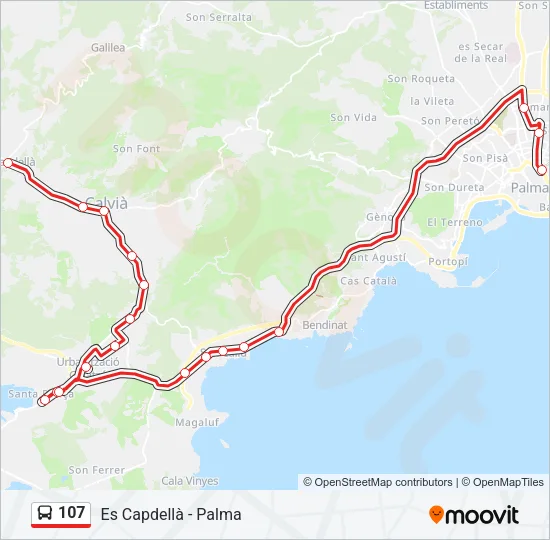107 Bus Line Map