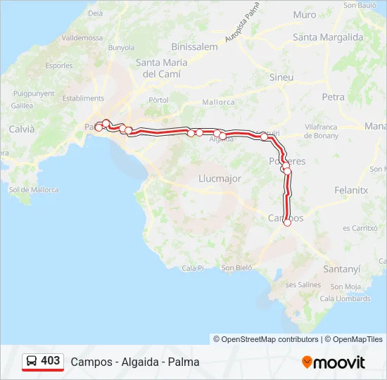 403 Bus Line Map