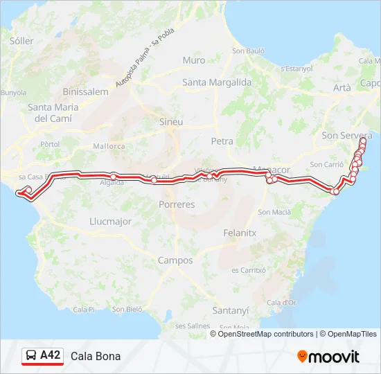 A42 Bus Line Map