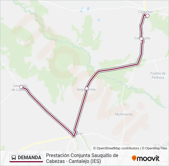DEMANDA Bus Line Map