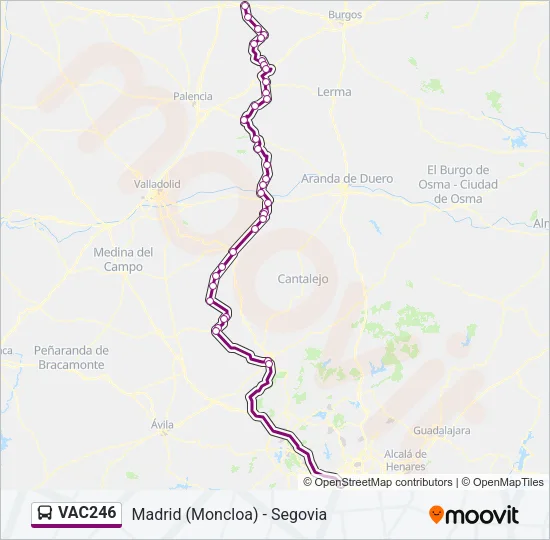 VAC246 Bus Line Map