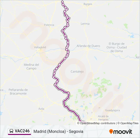 VAC246 Bus Line Map