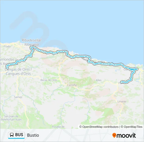 BUS Line Map