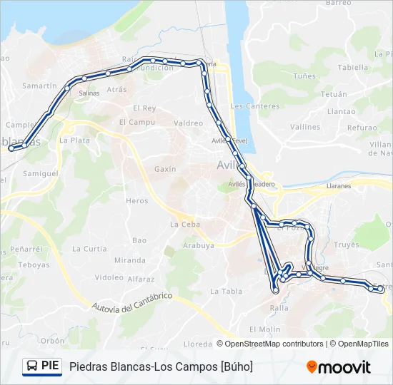 PIE Bus Line Map