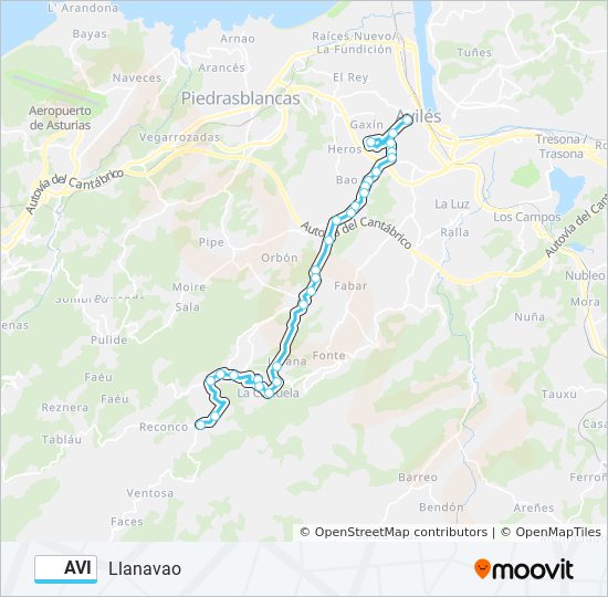 AVI bus Line Map