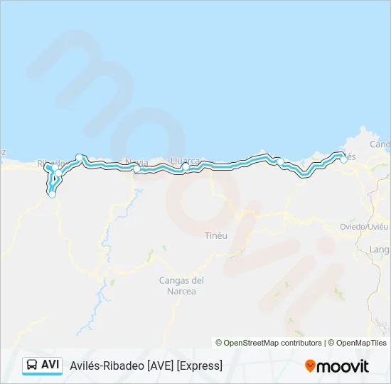 AVI Bus Line Map
