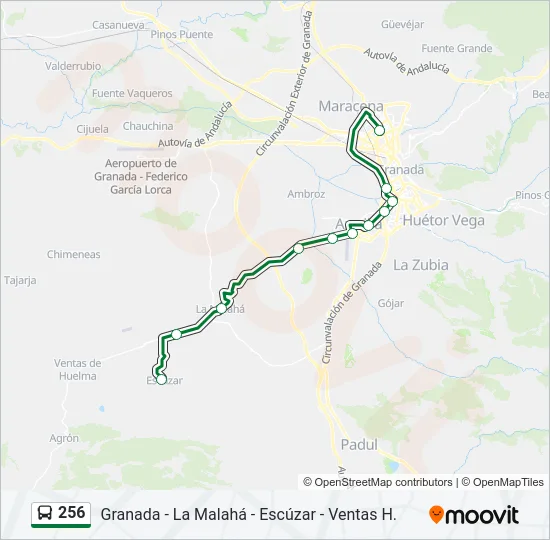 256 Bus Line Map