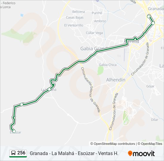 256 bus Mapa de línia