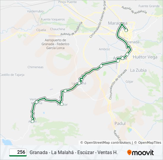 256 bus Line Map