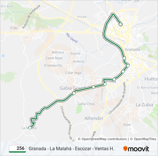 256 bus Mapa de línia