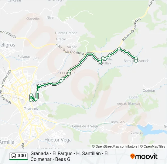 300 Bus Line Map