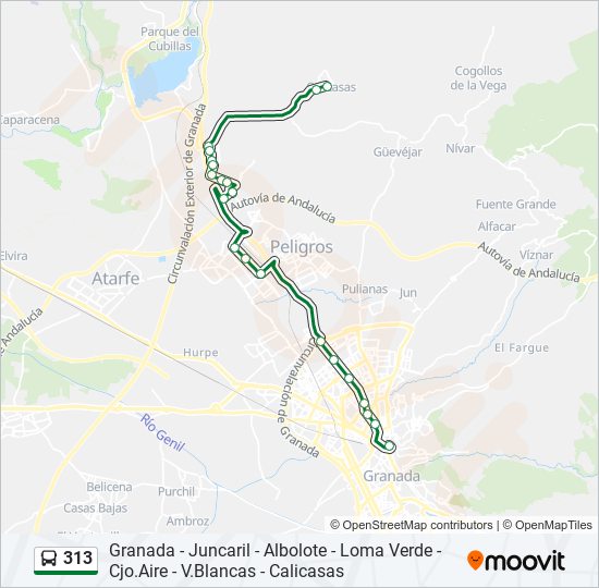 313 bus Line Map