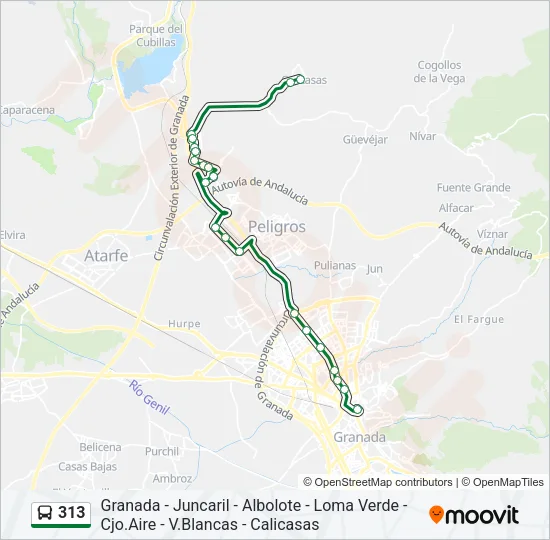 313 Bus Line Map
