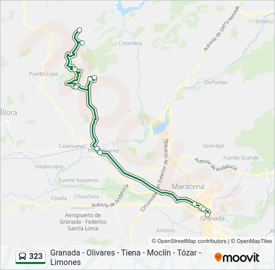 323 Bus Line Map