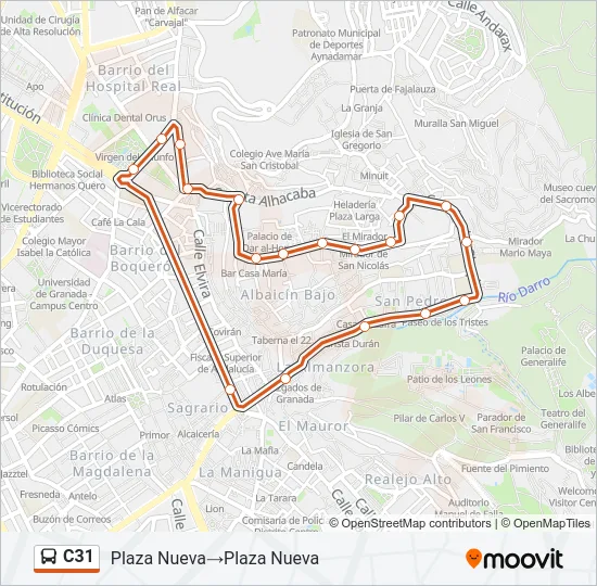 C31 Bus Line Map