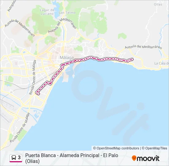 3 Bus Line Map