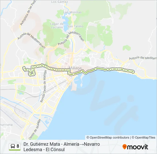 8 Bus Line Map