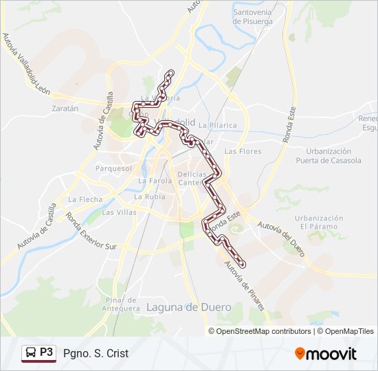 P3 bus Mapa de línia