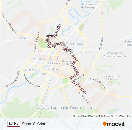 P3 Bus Line Map