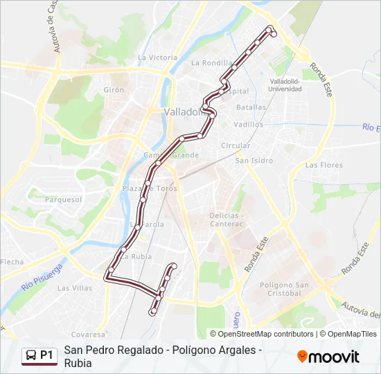 P1 Bus Line Map