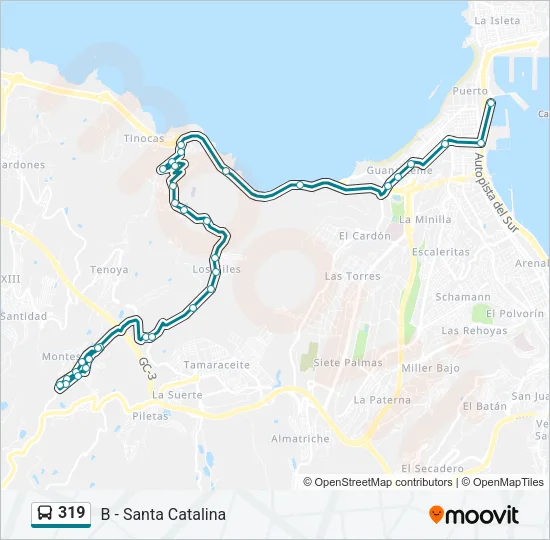 319 Bus Line Map