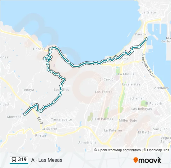 319 Bus Line Map