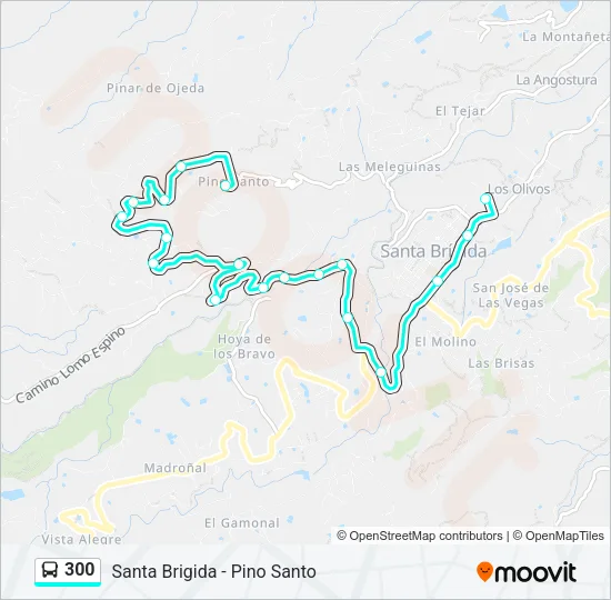 300  Line Map