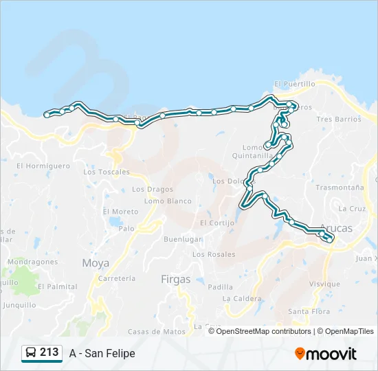 213 Bus Line Map