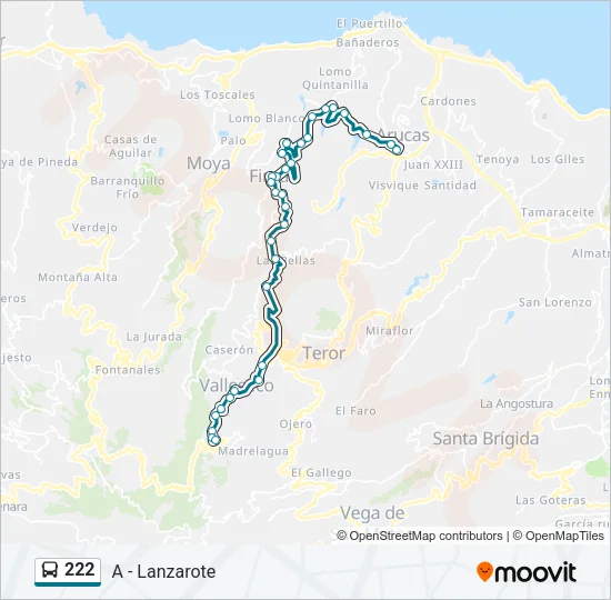 222 Bus Line Map