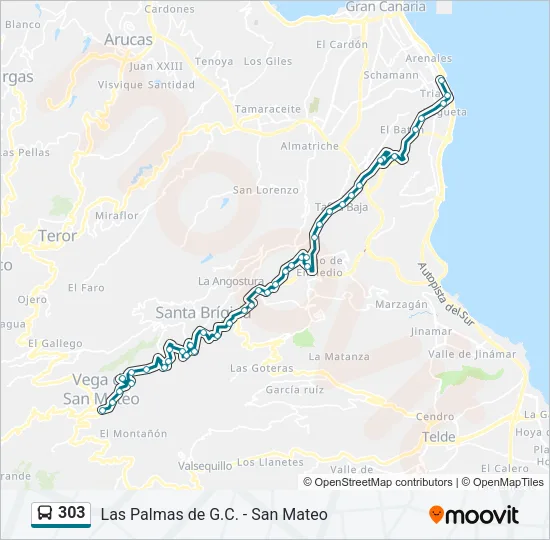 303 Bus Line Map