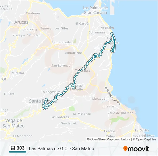 303 Bus Line Map