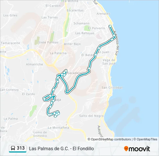 313 Bus Line Map