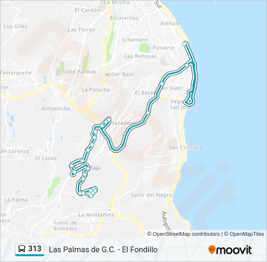 313 Bus Line Map