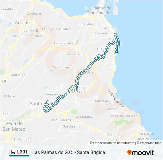 L301 Bus Line Map