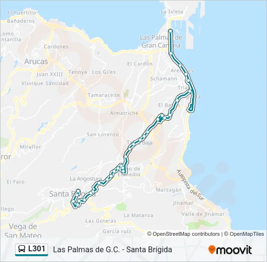 L301 Bus Line Map