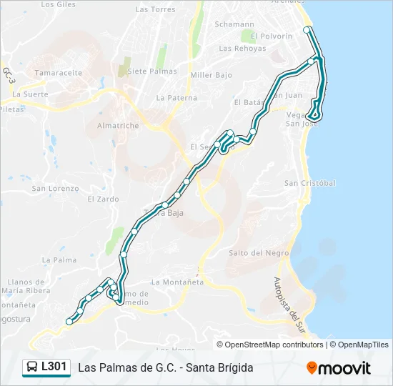 L301 Bus Line Map