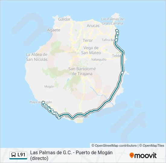 L91 Bus Line Map