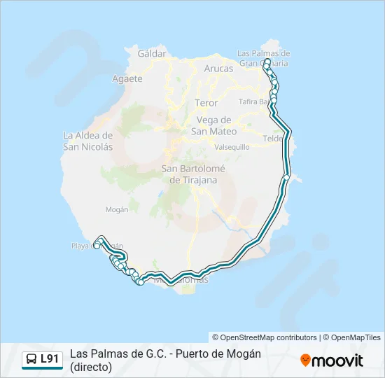 L91 Bus Line Map