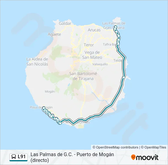 L91 Bus Line Map