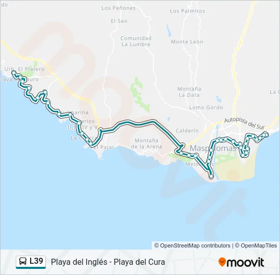 L39 Bus Line Map