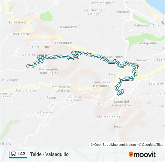 L43 Bus Line Map