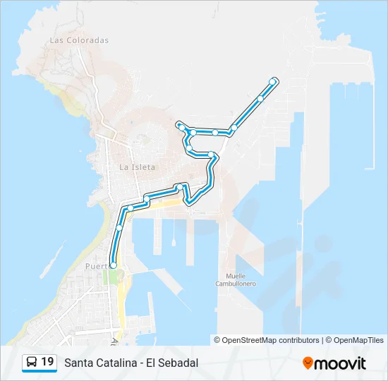 19 Bus Line Map