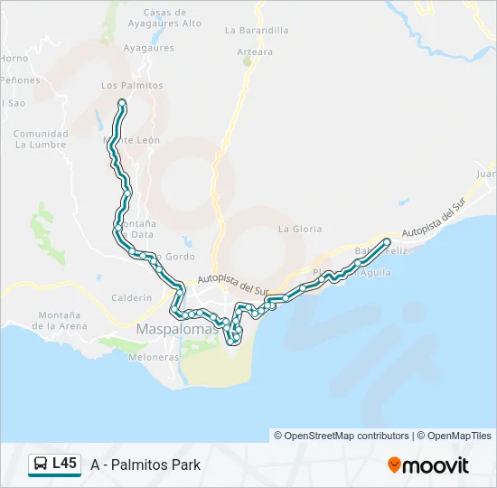 L45 Bus Line Map