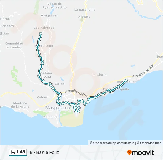 L45 Bus Line Map
