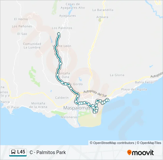 L45 Bus Line Map