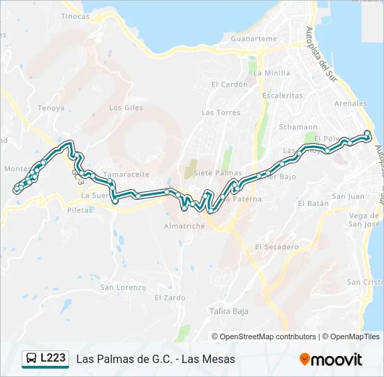 L223 Bus Line Map