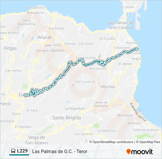 L229 Bus Line Map