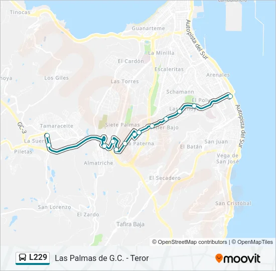 L229 Bus Line Map