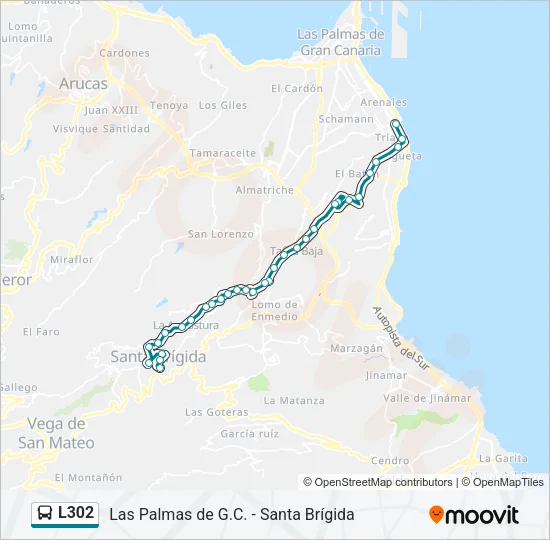 L302 Bus Line Map