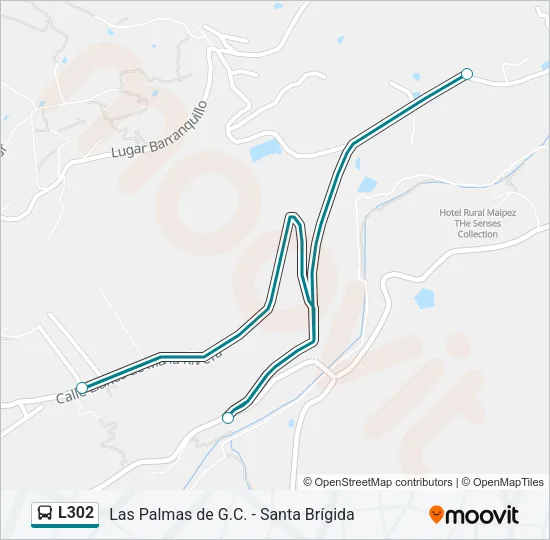 L302 Bus Line Map
